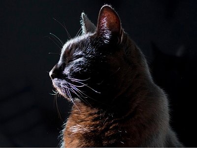 20250814 09 Galerie Humenberger  Screenshot