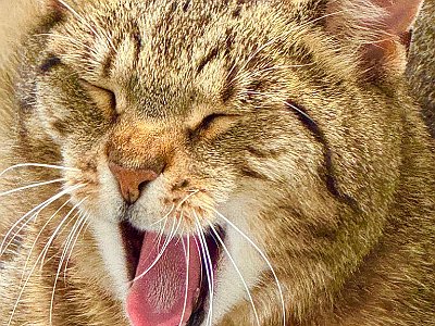 20250814 11 Galerie Humenberger