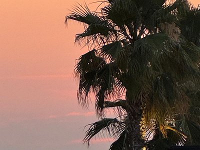 20250814 23 Galerie Humenberger