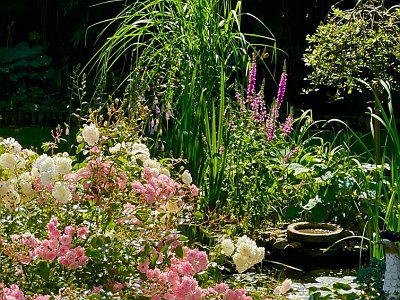 20250814 26 Galerie Humenberger  Screenshot