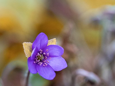 DSC 1796 Kopie (3) 2