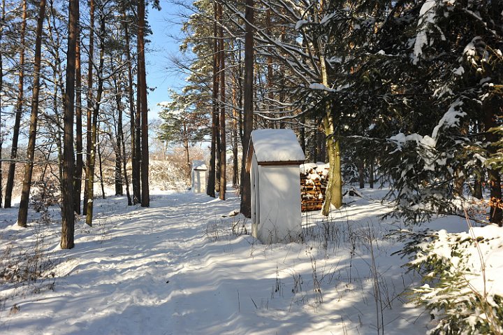 100130_044winterfotos.jpg