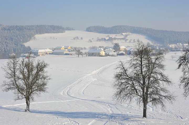 100130_060winterfotos.jpg