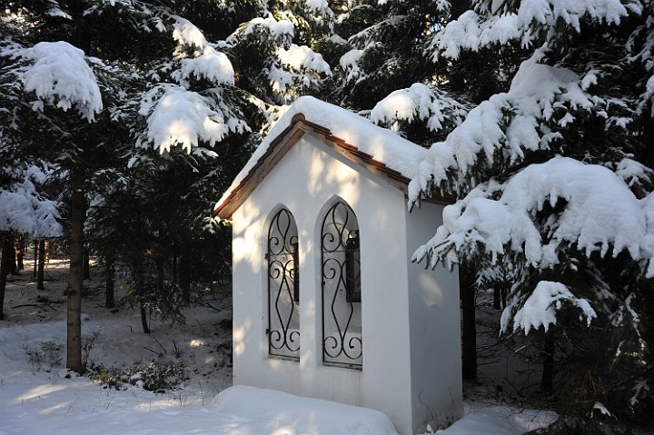 100130_081winterfotos.jpg
