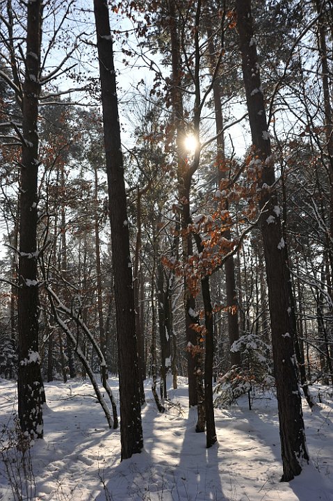 100130_090winterfotos.jpg
