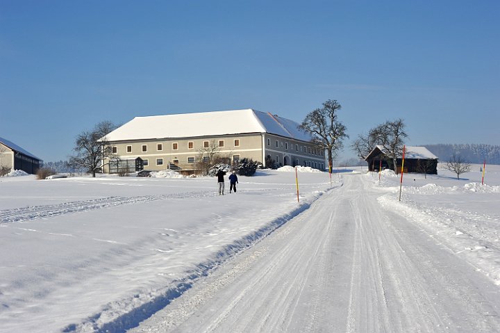 100130_113winterfotos.jpg