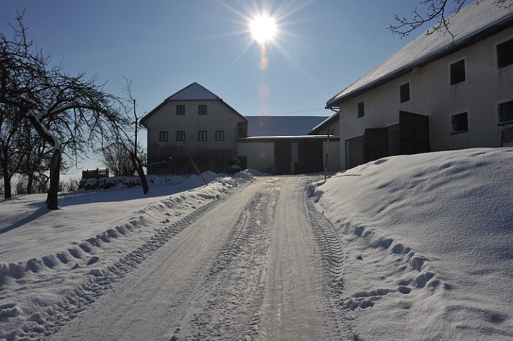100130_137winterfotos.jpg