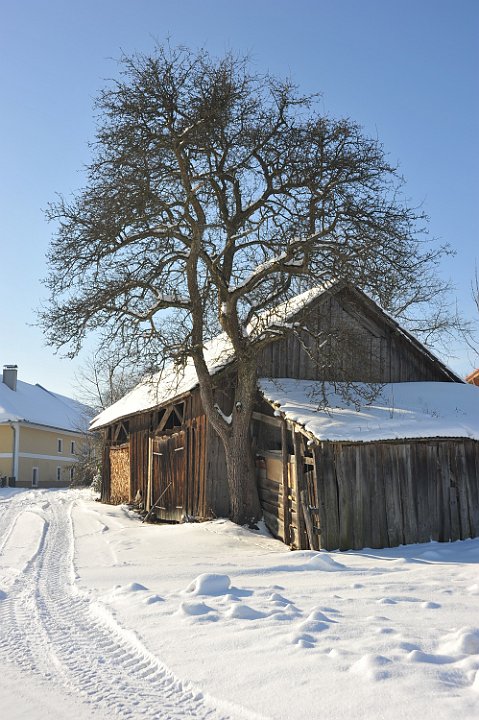 100130_162winterfotos.jpg