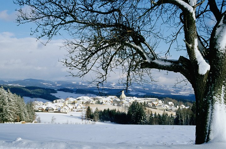 Winter 001.jpg