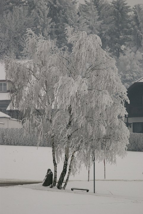 _DSC5475.jpg - FOTO MEISINGER